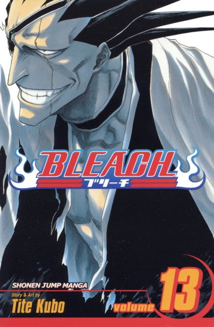 Bleach Volume 13
