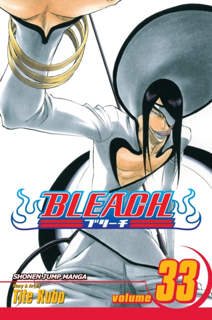 Bleach Volume 33