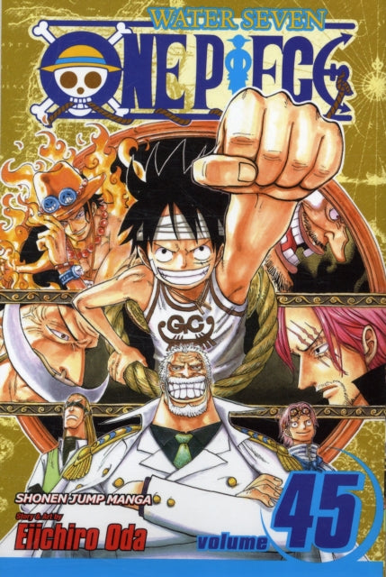 One Piece Volume 45