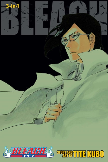 Bleach (3-in-1 Edition) Volume 24