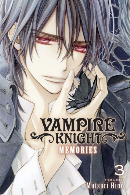 Vampire Knight: Memories Volume 3