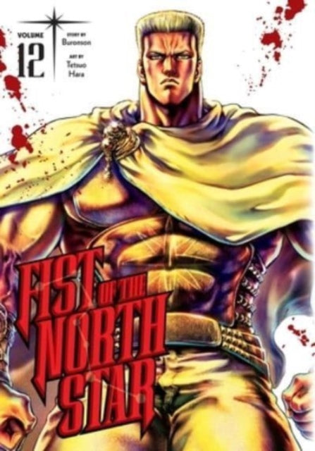 Fist of the North Star Volume 12