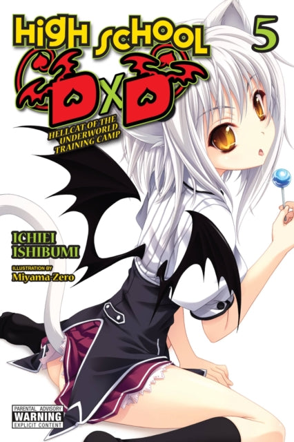 High School DxD Volume 5