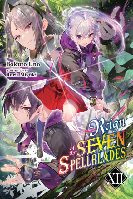 Reign of the Seven Spellblades Volume 12