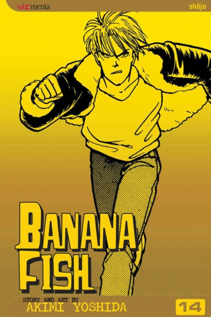 Banana Fish Volume 14