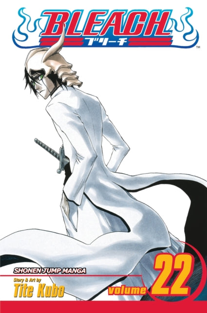 Bleach Volume 22