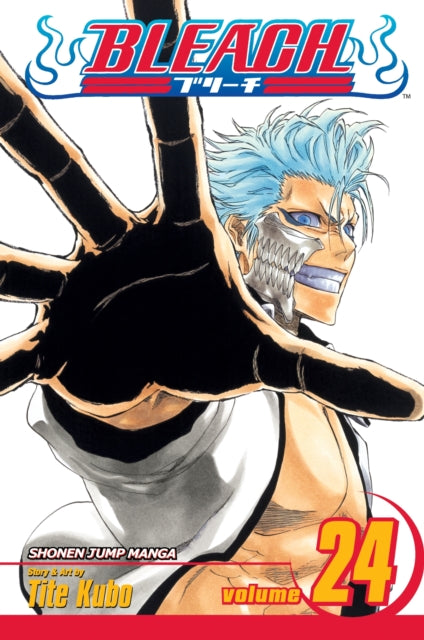 Bleach Volume 24