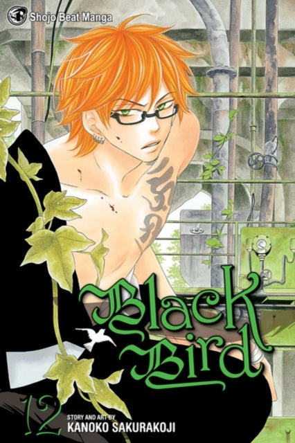 Black Bird Volume 12