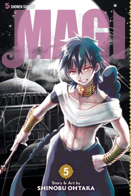 Magi: The Labyrinth of Magic Volume 5
