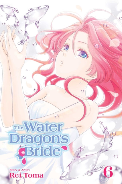 The Water Dragon's Bride Volume 6