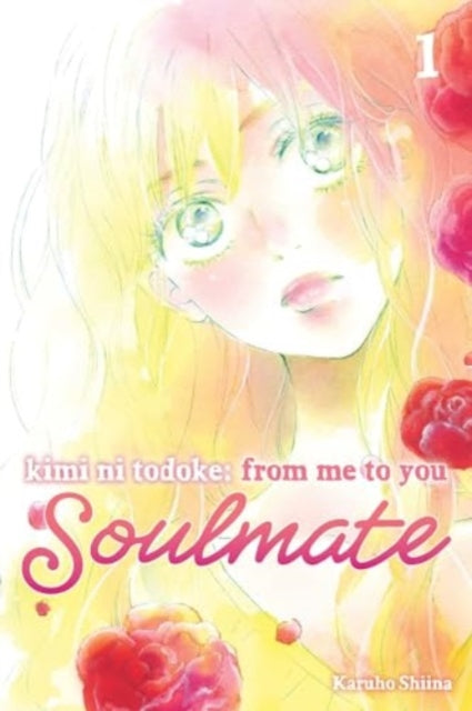 Kimi ni Todoke: From Me to You: Soulmate Volume 1