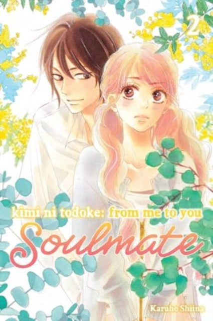 Kimi ni Todoke: From Me to You: Soulmate Volume 2