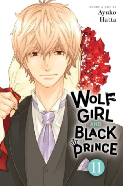 Wolf Girl and Black Prince Volume 11