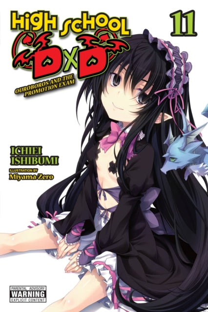 High School DxD Volume 11